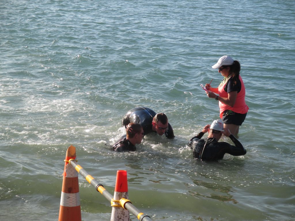 Port Nelson Sea Swims, Race 13, January 30, 2020