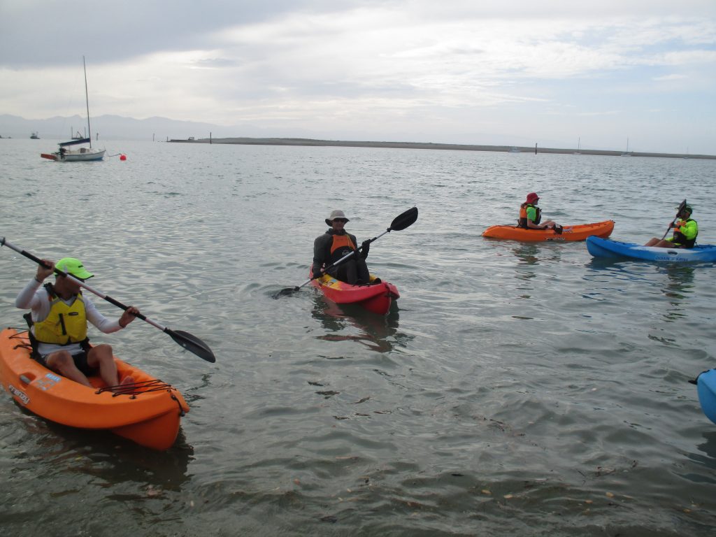 Port Nelson Sea Swims, Race 15, February 13, 2020