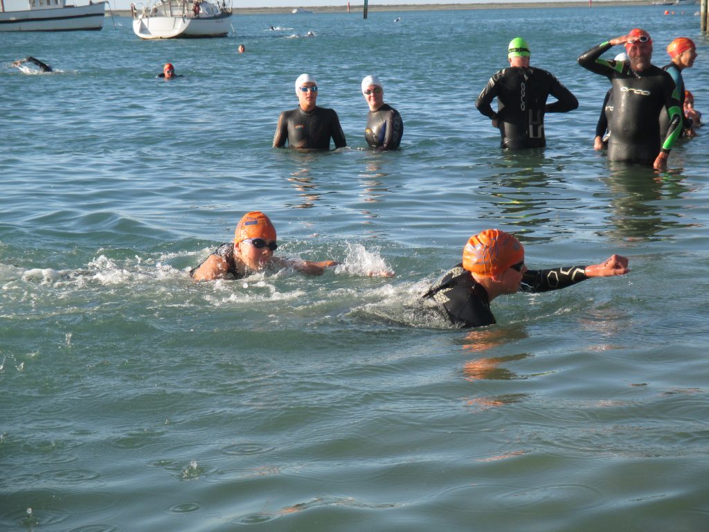 Port Nelson Sea Swims, Race 18, March 5, 2020