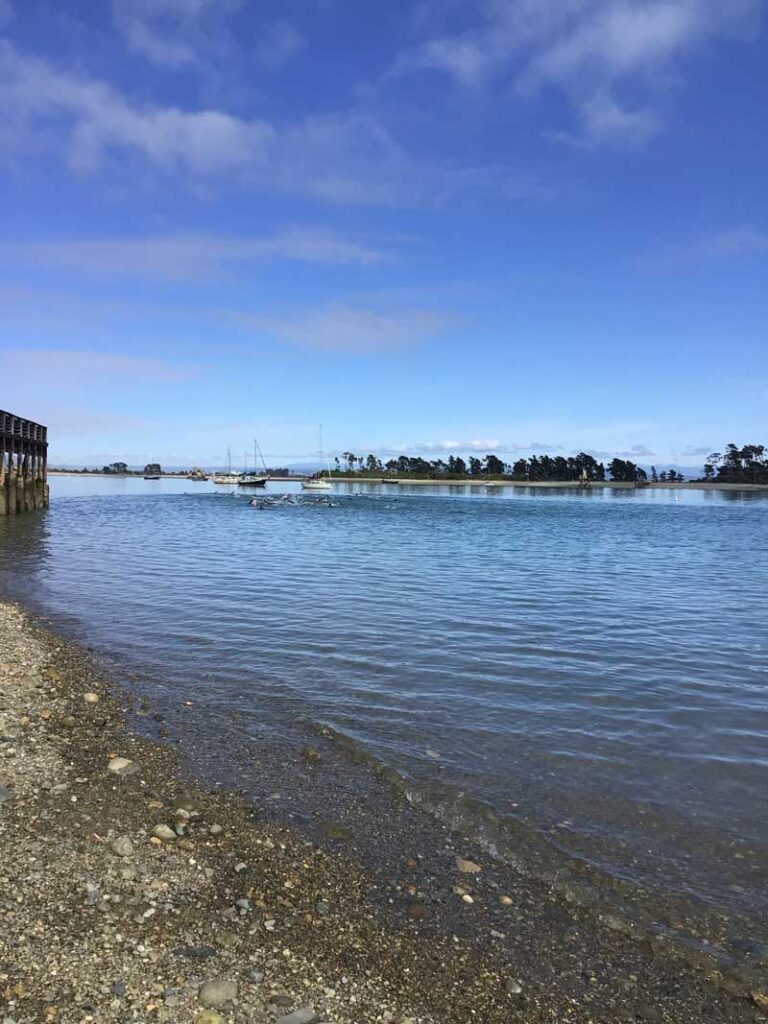 Blue September Swim Results