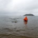 54247248713_6e08155539_c