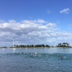 IMG_0359-cropped-thegem-blog-timeline-large