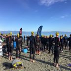 422931_8de7711d69575dd