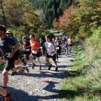 55230807925_2ddc8b9069_k